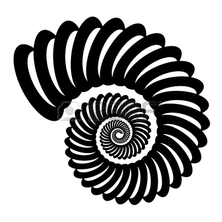 450x450 Shell Silhouette Royalty Free Cliparts, Vectors, And Stock