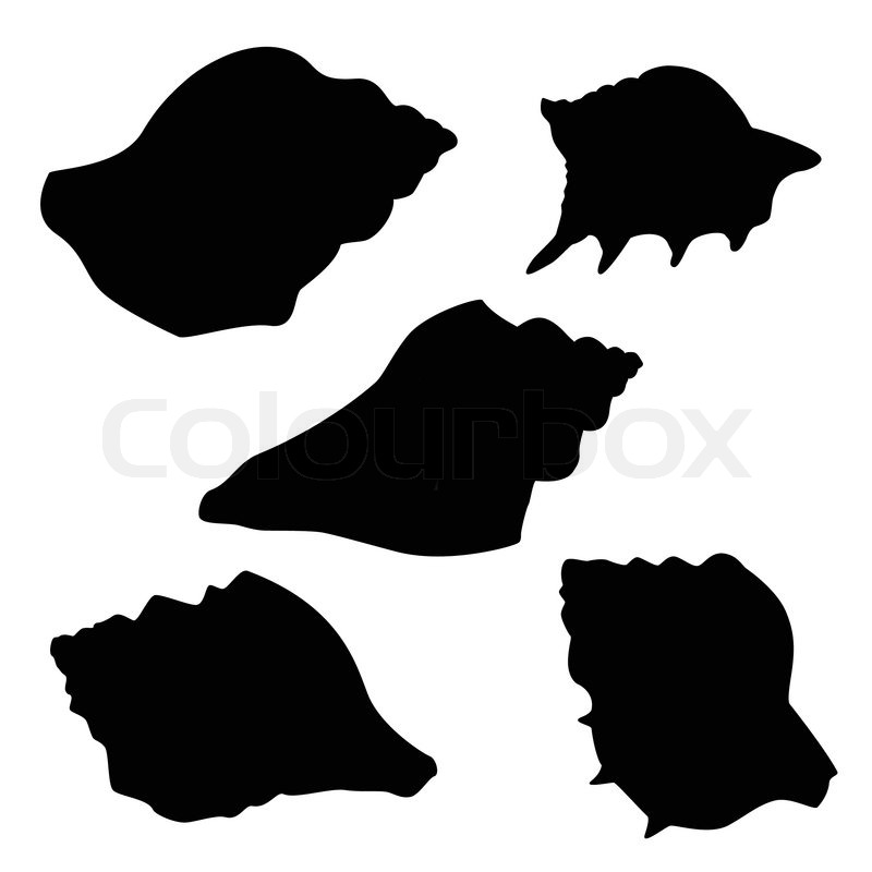800x800 Silhouettes Of Seashells Stock Vector Colourbox