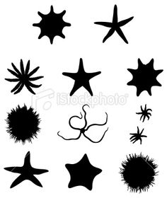 236x280 Starfish Silhouette Clipart Panda