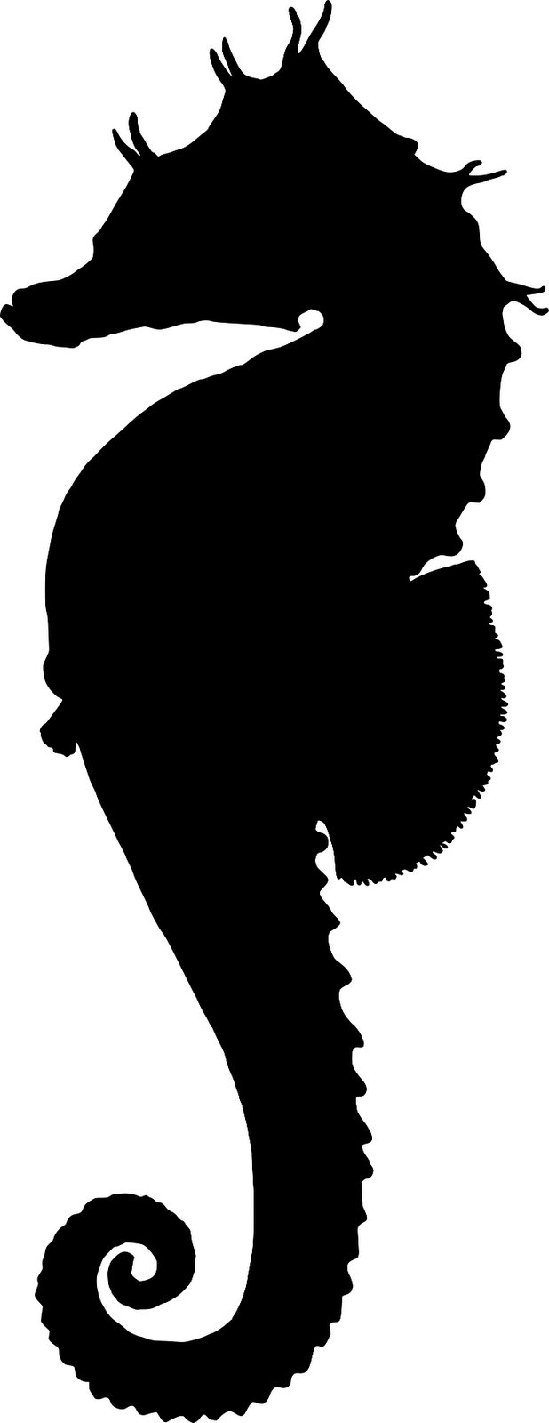 618x1600 Starfish Seahorse Clipart, Explore Pictures