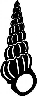 156x400 Nautilus Shell Silhouette