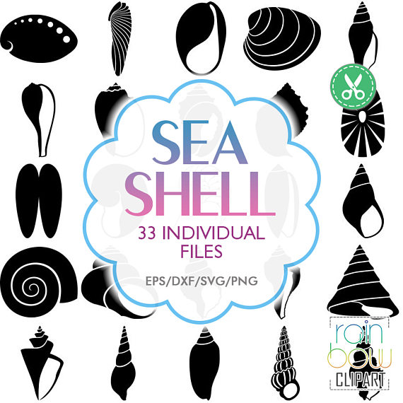 570x570 Clam Seashell Clipart, Explore Pictures