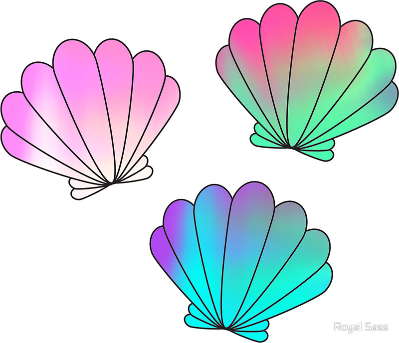 Seashells Clipart | Free Download On ClipArtMag