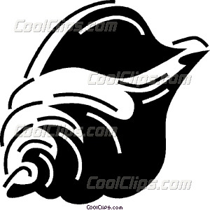 300x300 Shells Seashells Vector Clip Art