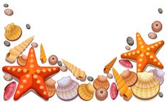 236x147 Transparent Seashells Png Picture Transparentes Sommer