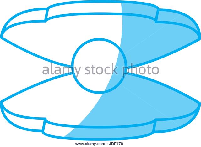 640x470 Water Seashell Underwater Wildlife Stock Photos Amp Water Seashell