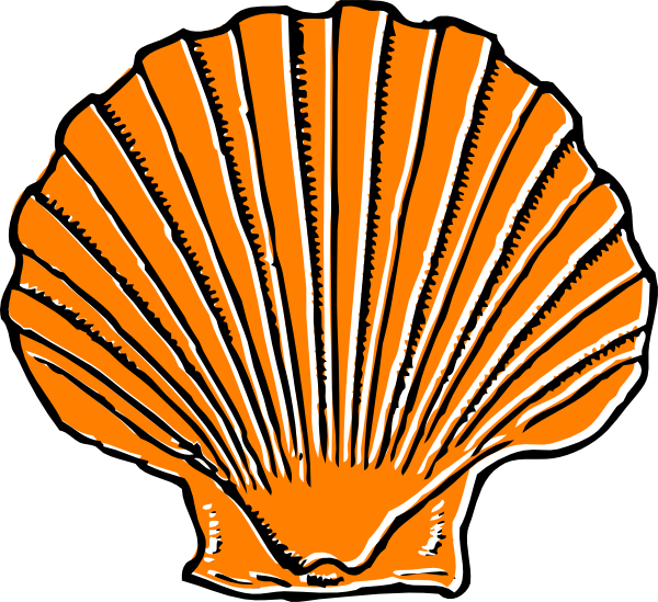 600x549 Free Seashells Clipart Image