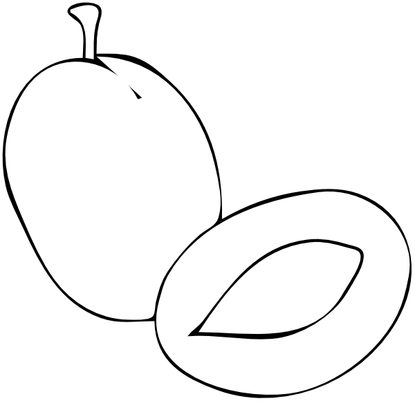 600x580 Plum Outline Clip Art
