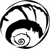 165x161 Search Results For Seashells ( 44 Found )