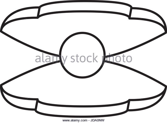 640x470 Water Seashell Underwater Wildlife Stock Photos Amp Water Seashell