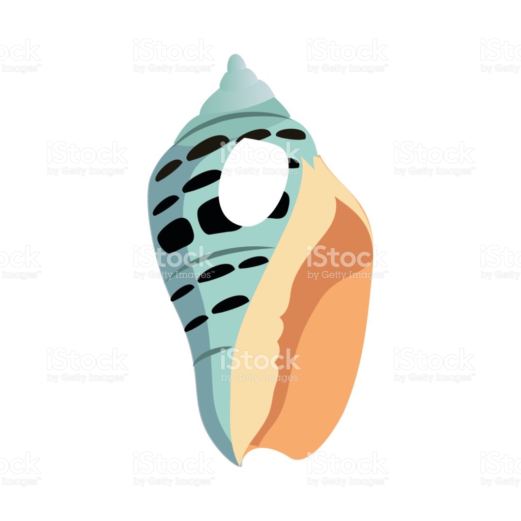 1024x1024 Mollusc Clipart Blue Seashell