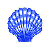 170x170 Shell Clipart Blue Sea