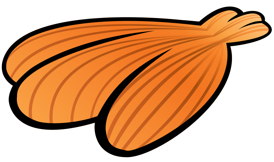 900x531 Shell Clipart Blue Seashell