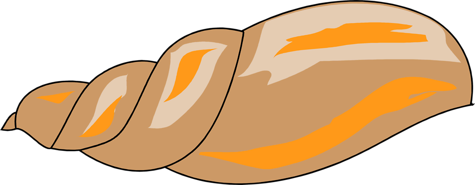 958x373 Shell Clipart Transparent Background