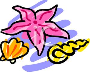 300x243 And Starfish