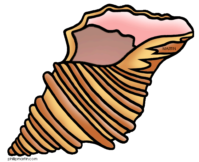 648x528 Brown Clipart Seashell