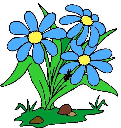 490x520 Top 10 Plant Clip Art Free