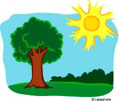 238x202 Summer Tree Clip Art