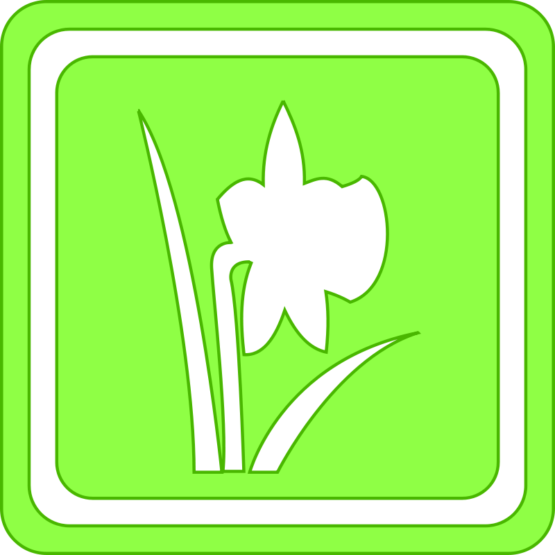 800x800 Free Clipart