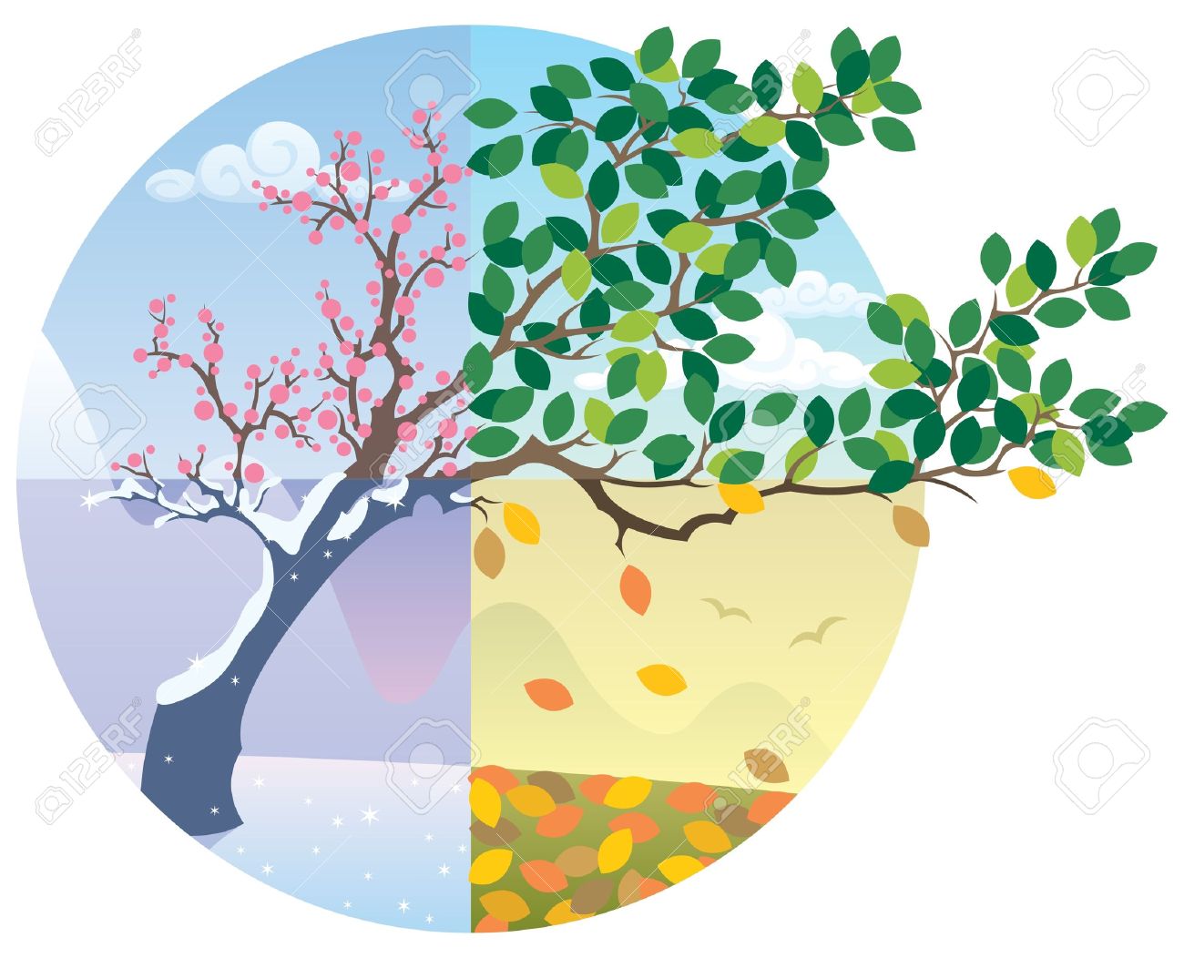 1300x1052 Cartoon Illustration Representing The Cycle Of The Four Seasons