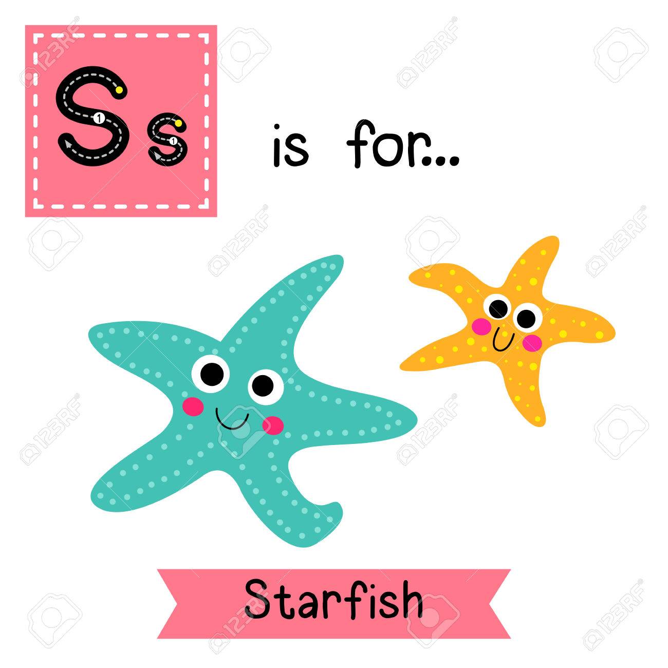 1300x1300 66 Sea Star Abc Stock Vector Illustration And Royalty Free Sea