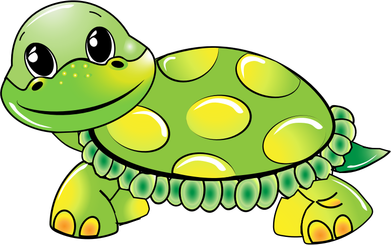 776x487 Sea Turtle Clipart Nature