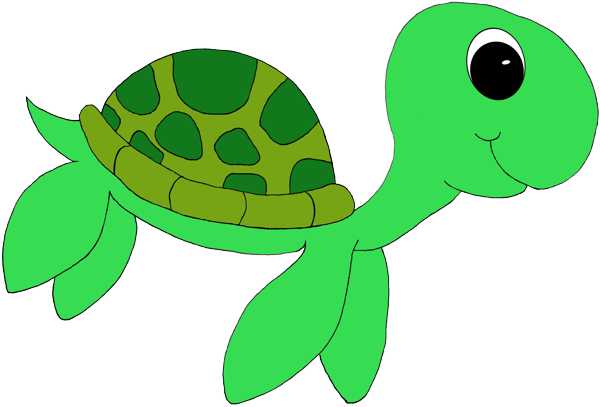 600x407 Sea Turtle Turtle Clipart Biezumd