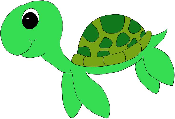 736x499 Turtle Clipart Printable