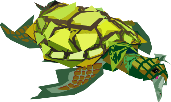 555x332 Clip Art Sea Turtle Super Duper Svg