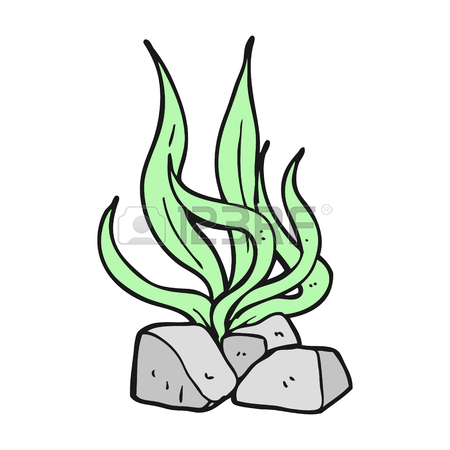 450x450 Freehand Drawn Cartoon Seaweed Royalty Free Cliparts, Vectors,