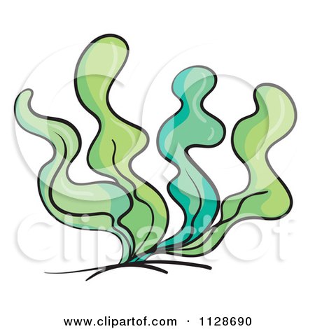 450x470 Royalty Free (Rf) Seaweed Clipart, Illustrations, Vector Graphics