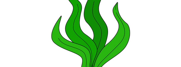 610x229 Seaweed Cut Out Large