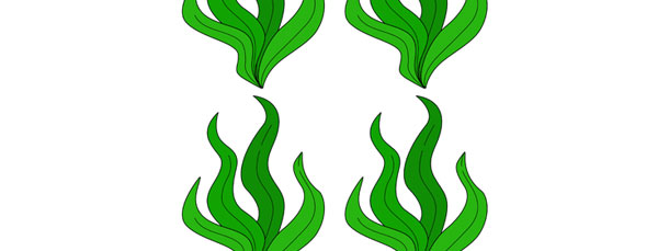 610x229 Seaweed Cut Out Small