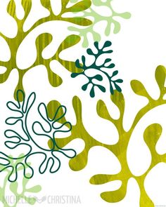 236x295 Seaweed Stock Photos, Images, Amp Pictures Shutterstock Nature