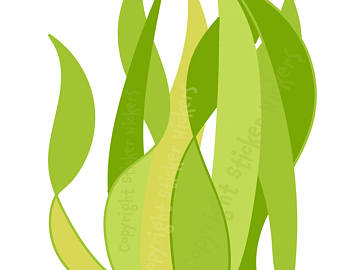 340x270 Seaweed Clip Art Etsy