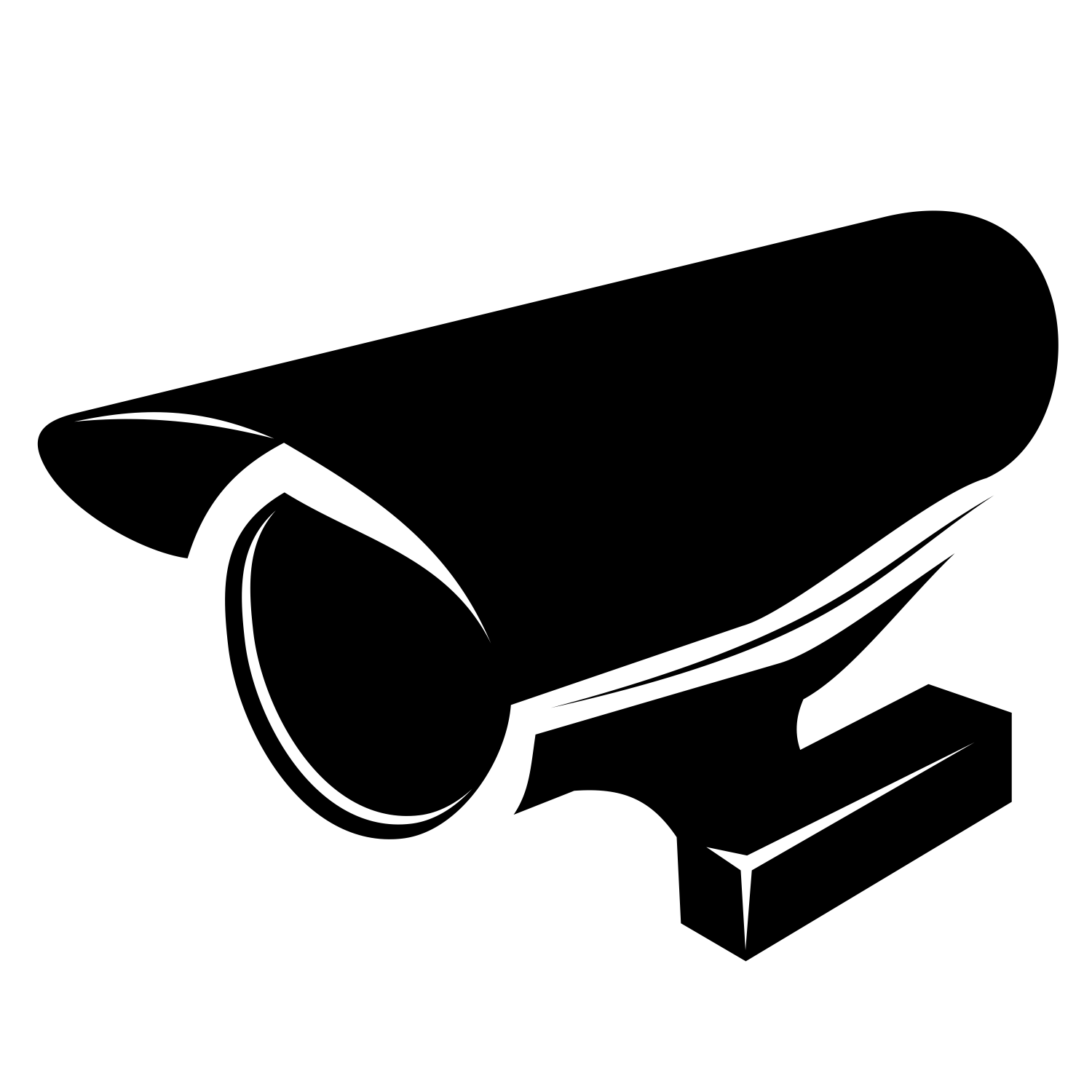 1500x1500 Security Camera Icon Vector