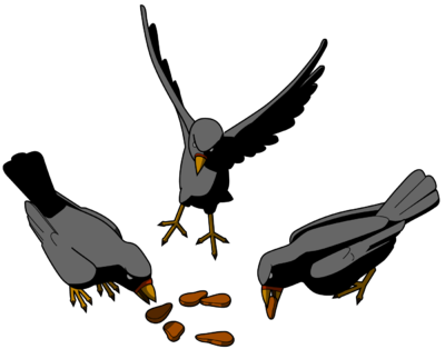 400x314 Image Download Seeds And Birds