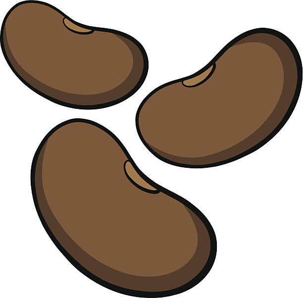 612x602 Seed Clipart Pinto Bean