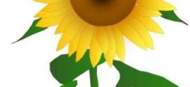 272x125 Sunflower Clip Art Free Printable Clipart Panda
