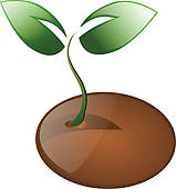 159x170 From Seed To Plant Clipart 1907113