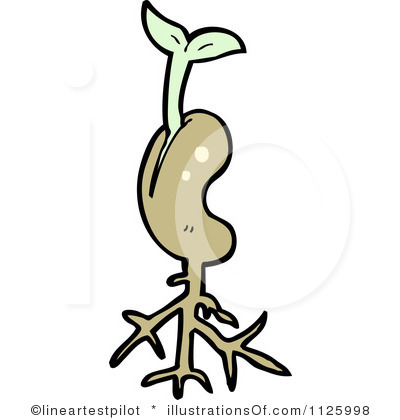 400x420 From Seed To Plant Clipart