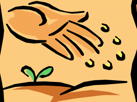 463x347 Seed Clipart Hand Planting