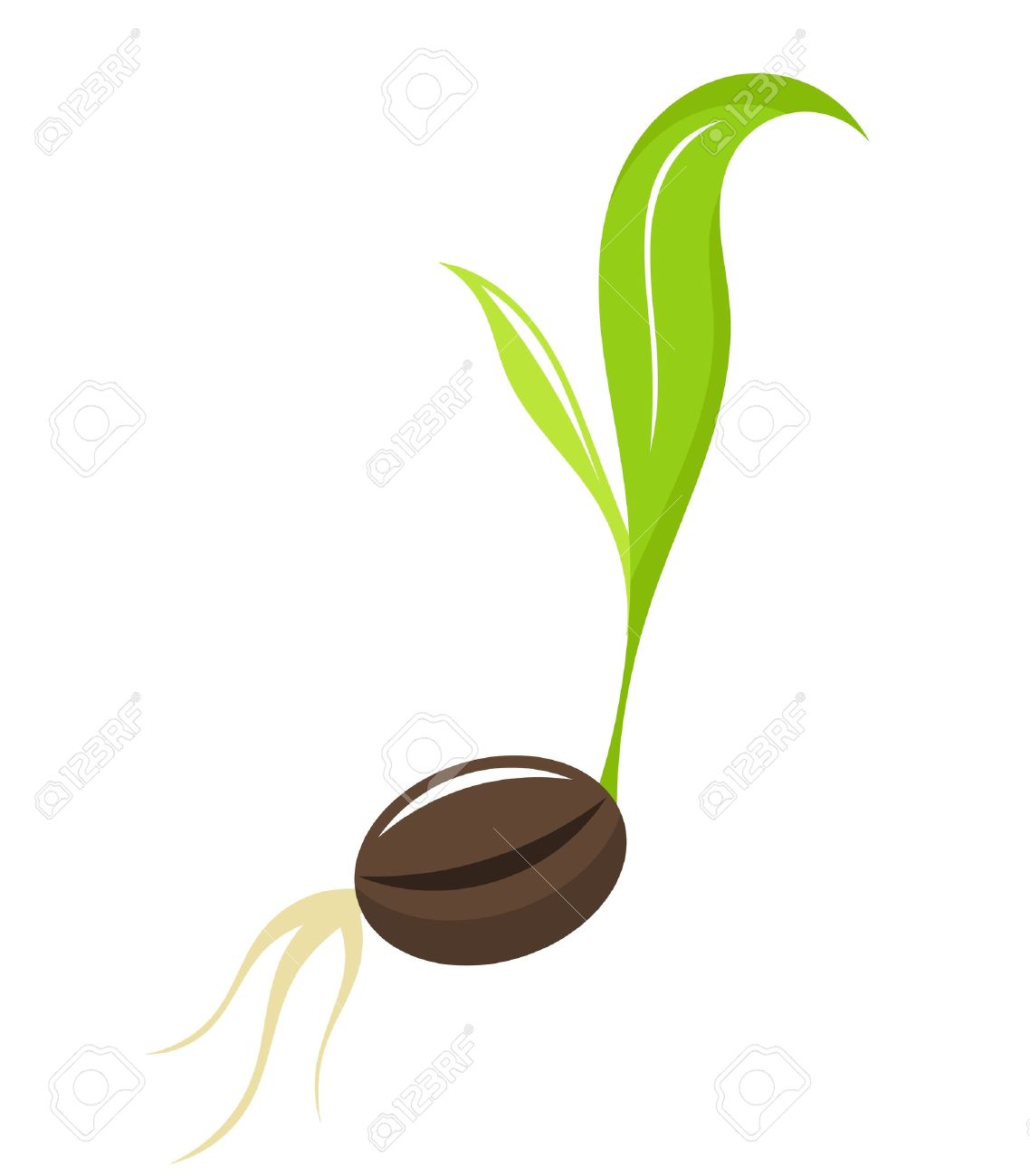1138x1300 Seed Clipart Small Plant