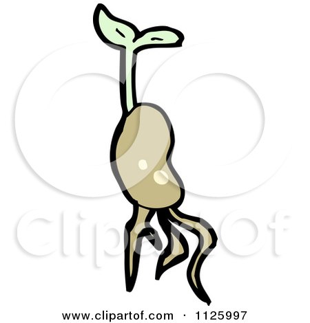 450x470 Cartoon Of A Sprouting Plant Seed 1