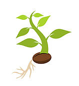 158x170 Clipart Of Seedling K12966005