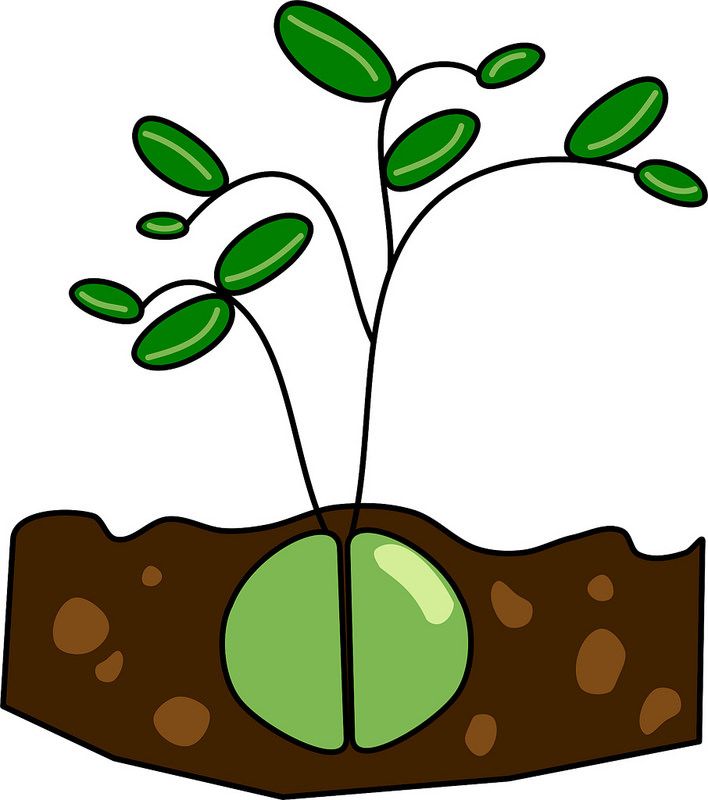 708x800 15 Best Crafts