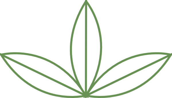 600x341 Seedling Clip Art