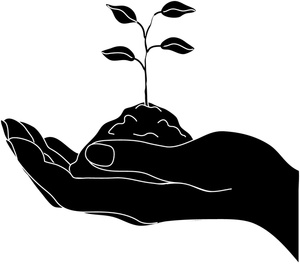 300x265 Seedling Clipart Image