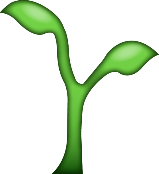 549x600 Seedling Tree Clipart