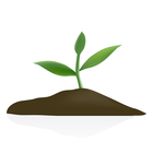 140x140 Clip Art Image Gallery Similar Image Seed Sprout Smiling (Black